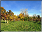 foto Alle pendici del Monte Grappa in Autunno